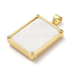 Латунные подвески из ракушек&nbsp;KK-D042-02C-G