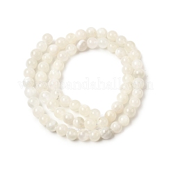 Натуральный белый лунный камень бисер пряди&nbsp;G-F306-05AB-6mm-01