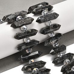 Нити бусин с двойным концом из натурального ларвикита G-H069-B06-01