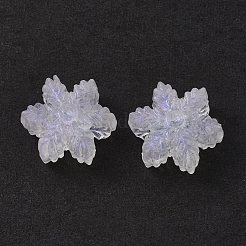 Прозрачные акриловые бусины X-OACR-P007-30