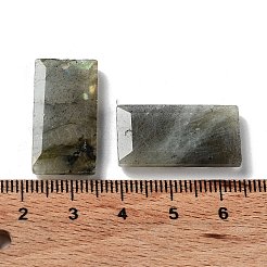 Природные подвески лабрадорита&nbsp;G-G063-01I