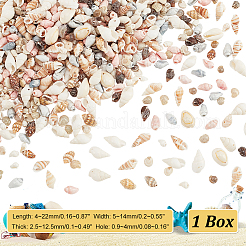 10 нити 10 стилей натуральные ракушечные бусины нити BSHE-PH0001-33