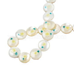 Бусины из натуральной пресноводной эмали SHEL-N026-194-06