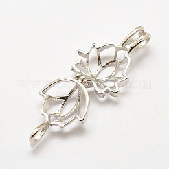 Латунные диффузор Locket подвески X-KK-P100-18P-NR