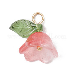 Ациловый кулон PALLOY-TA00089