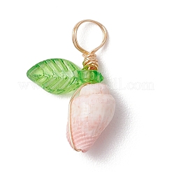 12 шт. 4 стиля подвески из натуральной морской ракушки в медной проволоке&nbsp;PALLOY-JF03610