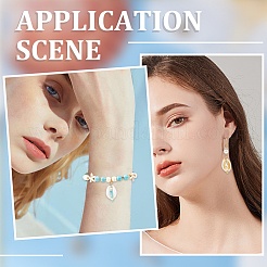 30 шт. подвески из натуральной ракушки каури SHEL-SC0001-43