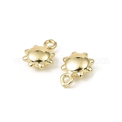 Латунь подвески&nbsp;LS-KK-C107-04B-G