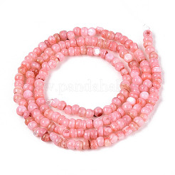 Натуральные пресноводные окрашенные бусы из ракушек SHEL-T020-29B-06