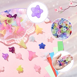 400шт 2 стиля прозрачные акриловые бусины&nbsp;FACR-YW0001-11