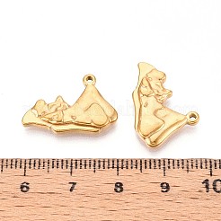 201 подвеска из нержавеющей стали&nbsp;STAS-N109-223G