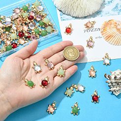 60шт 6 цвета подвески из акрилового сплава&nbsp;FIND-CJ0003-81