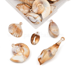 25 шт.&nbsp;OACR-FP0001-36