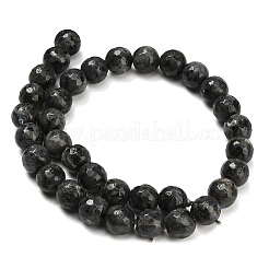 Натуральные нити бус из ларвикита&nbsp;G-C280-B06-12mm