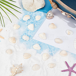 300 шт. натуральные бусины из ракушек&nbsp;SSHEL-SP0001-03