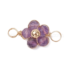 10 шт. 10 стиля: натуральный амазонит&nbsp;PALLOY-JF03605