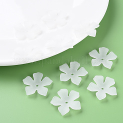 Прозрачные акриловые бусины&nbsp;MACR-S373-119-D01