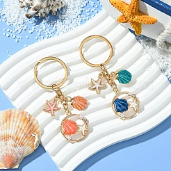 Эмаль сплава&nbsp;KEYC-YW00076-01