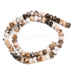 Природные окаменелое дерево бисер пряди&nbsp;G-C259-A29-5x8mm