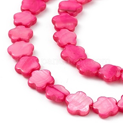 Натуральные пресноводные окрашенные бусы из ракушек SHEL-K001-001D