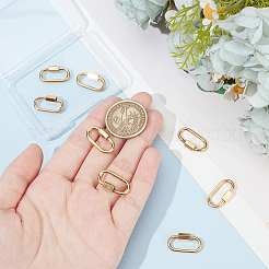 8 шт. подвески-замки с винтовым карабином из нержавеющей стали 304 STAS-UN0058-40G