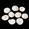 Natural Shiva Eye Shell Beads, 15~20x14~18x5~10mm, Hole: 1mm