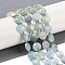 Natural Aquamarine Beads Strands, Faceted Pentagonal Cut, Flat Round, with Seed Beads, 10~10.5x5~6mm, Hole: 1mm, about 32~33pcs/strand, 15.75''(40cm)