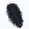 Ostrich Feather Costume Accessories, Dyed, Black, 300~350mm