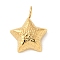 304 Stainless Steel Pendants, Ion Plating(IP), Star Charms, Real 14K Gold Plated, 16x12x4mm, Hole: 2.5mm
