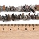 Натуральный лунный камень бисер нитей G-A284-B01-01-5