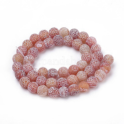 Естественные выветрившиеся агатовые бусины&nbsp;G-S259-05F-6mm