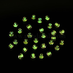 Светящиеся в темноте прозрачные стеклянные бусины 8/0 шт.&nbsp;SEED-YWC0001-01G