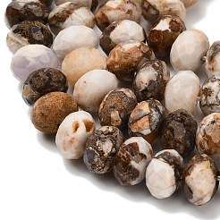 Природные окаменелое дерево бисер пряди&nbsp;G-C259-A06-8x12mm-02