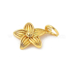 Латунь подвески&nbsp;LS-KK-Z107-05G-02