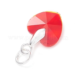 10шт 10 цвета стеклянные подвески PALLOY-JF04543