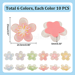 60 шт. 6-х цветные полупрозрачные смоляные декоден-кабошоны RESI-GA0001-31