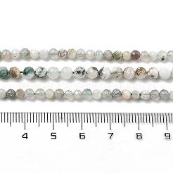 Натурального дерева агат бисер нитей&nbsp;LS-G-RM250104-D6