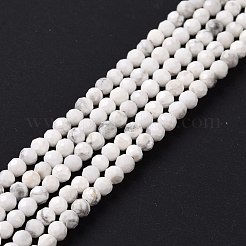 Природные Говлит бисер нитей G-H273-02A