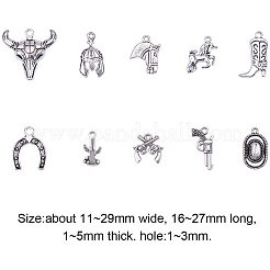Западные подвески тибетский стиль сплава подвески&nbsp;TIBEP-PH0001-05AS
