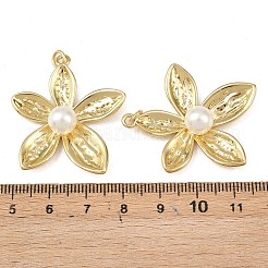 Латунные подвески&nbsp;KK-L255-23G