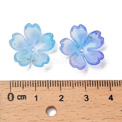 Акриловый шарик крышки OACR-H056-01C