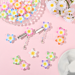 28 шт. подвески из непрозрачной смолы&nbsp;FIND-SC0019-45