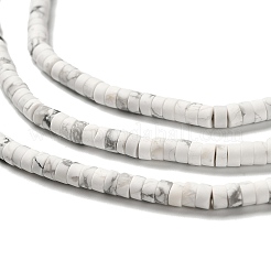 Природные Говлит бисер нитей G-P575-B39-4x2mm