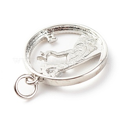 Латунные микропаве прозрачные подвески с фианитом ZIRC-P094-26P-RS