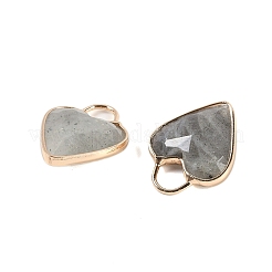 Граненые подвески из натурального лабрадорита KK-L218-005G-03