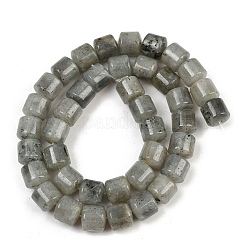 Природные лабрадорита бисер нитей G-G275-D10-10x10mm