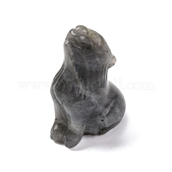 Натуральные лабрадоритовые дисплеи&nbsp;DJEW-P019-A08