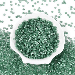 Стеклянные бусины SEED-N007-27A
