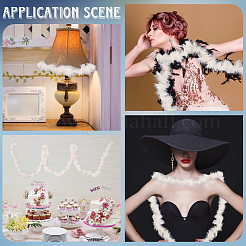 1 шт. боа из перьев индейки для танцев&nbsp;AJEW-GF0012-31A