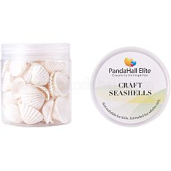 Бусины из ракушек&nbsp;BSHE-PH0003-15